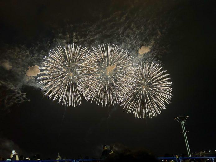 通り雨のあと
最後の大輪の花が咲き終了