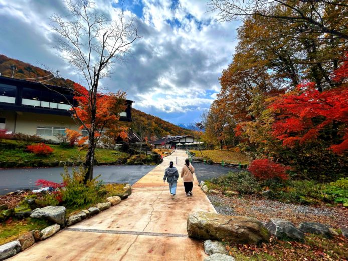 ここから歩いてしらかば平駅へ