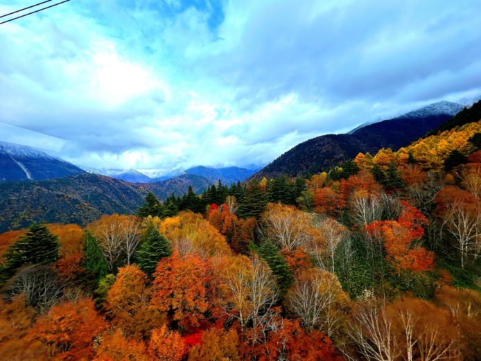 ここあたりから山頂に雪が見えてきて…