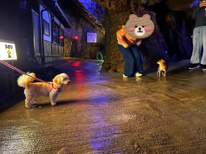 かのん「夜だからお店やってないや」
ココ「鍾乳洞なんだってば」