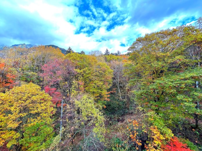 青空と白い雲も映える！